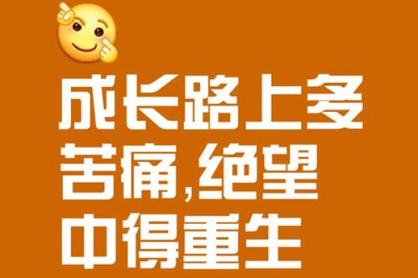 拼过命判过心:在生活的逆境中寻找自我重生的力量 拼过命判过心:在生活的逆境中寻找自我重生的力量