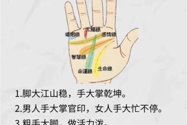 手相算命的奥秘:透视命局与未来的指引 手相算命的奥秘:透视命局与未来的指引