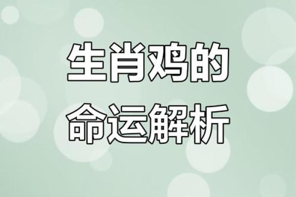 探秘1972年属鸡人的命运:幸运与挑战的双重旅程 探秘1972年属鸡人的命运:幸运与挑战的双重旅程