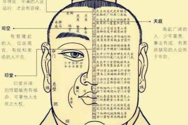 破解命理之谜:为何有些人读书艰难却命运不佳? 破解命理之谜:为何有些人读书艰难却命运不佳?