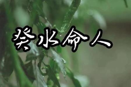 水命人适合的行业解析：如何选择最合适的发展方向