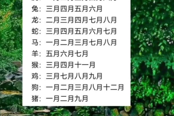 探秘2011金命：揭示金命人的独特魅力与人生轨迹
