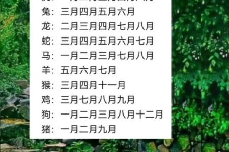 探秘2011金命：揭示金命人的独特魅力与人生轨迹