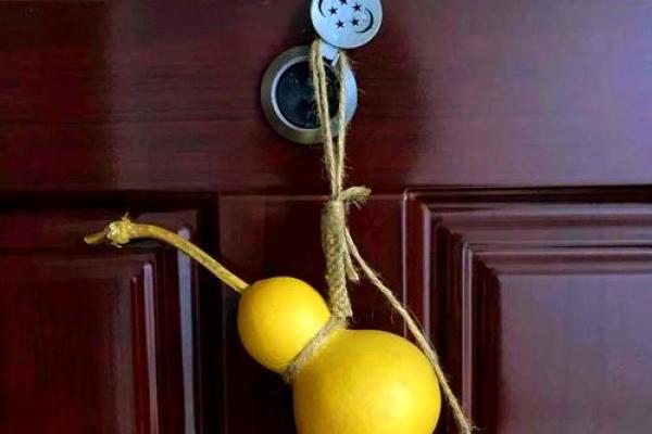 双大林木命人适合什么物品与摆放风水的深度解析 双大林木命人适合什么物品与摆放风水的深度解析