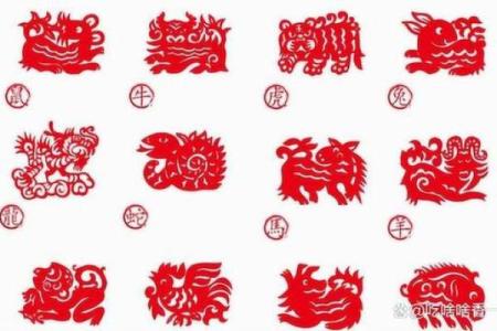 如何通过属相解析哪些命运走向不佳？