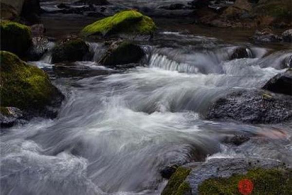 水命要谨慎:哪些颜色绝对不能穿? 水命要谨慎:哪些颜色绝对不能穿?