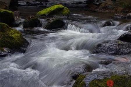 水命要谨慎：哪些颜色绝对不能穿？