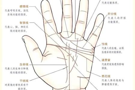 手相中的神秘符号：斜杠纹代表什么命运？
