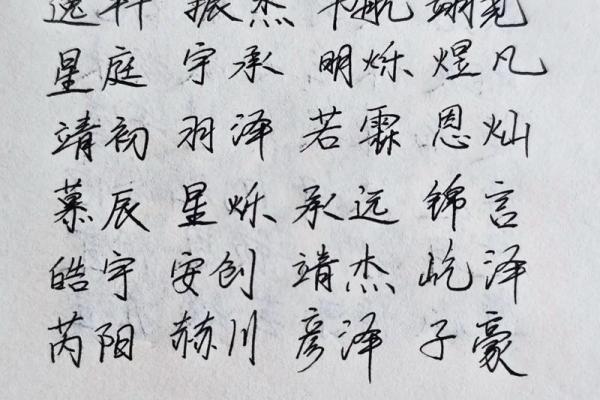 2028年出生宝宝命运解析:如何为孩子选择最佳名字与人生方向 2028年出生宝宝命运解析:如何为孩子选择最佳名字与人生方向