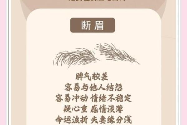 眉毛浓密的人命运解析:你不容错过的内涵与启示 眉毛浓密的人命运解析:你不容错过的内涵与启示