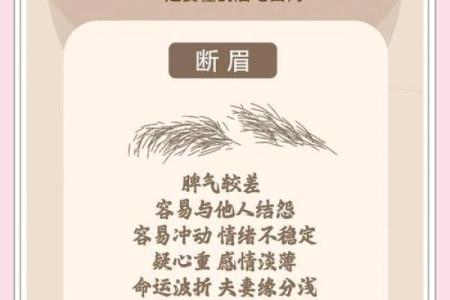眉毛浓密的人命运解析：你不容错过的内涵与启示