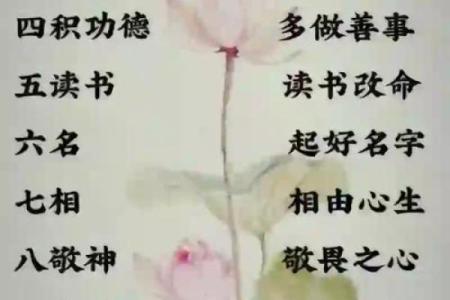 探寻命运的奥秘：算卦揭示的命格种类与人生启示