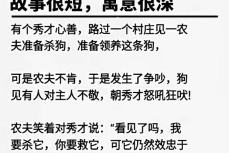 命里不缺狗：解读命理与狗文化的深层联系