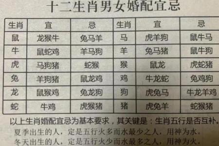 揭秘三六八五行属相与命运之关系，探寻人生秘密！