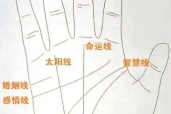 手相纹路解析:发现你命运的秘密之窗 手相纹路解析:发现你命运的秘密之窗