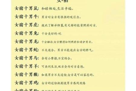 2019年出生的猪：属猪人的命运与性格分析，助你更好理解生活！