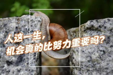 2020年的命运：如何把握机会，迎接挑战，创造美好人生