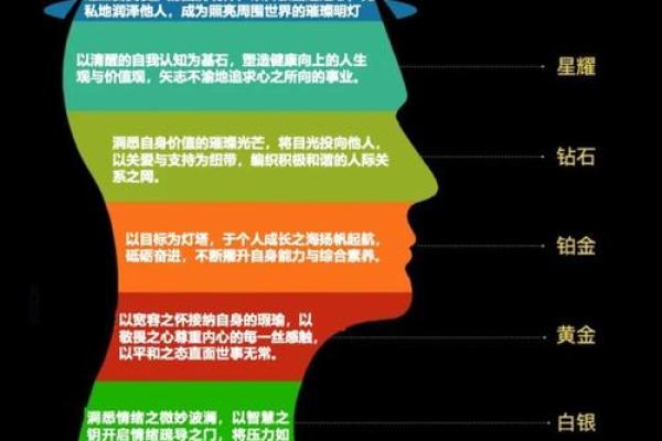 七条命:揭秘命格类型与命运的深层关系 七条命:揭秘命格类型与命运的深层关系