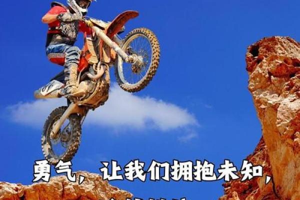 走马扬鞭的命运解析：追梦与坚持的旅程