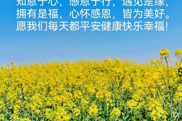 根据命生病：缘分与健康的秘密探讨