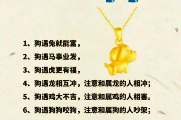 1970年属狗人命运解析：揭秘你的性格与运势