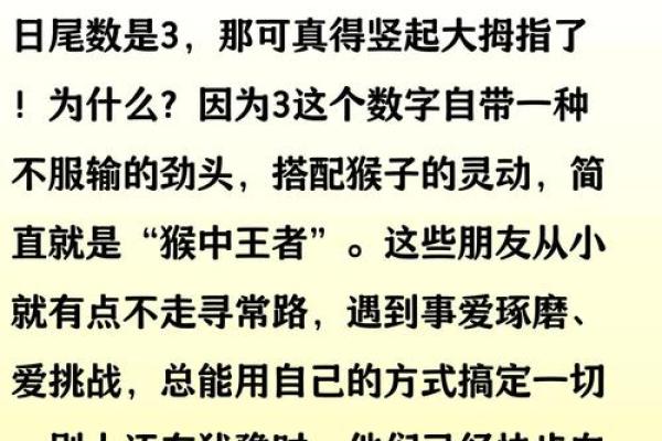 2016年属猴人的命运解析:智慧与灵动的完美结合 2016年属猴人的命运解析:智慧与灵动的完美结合