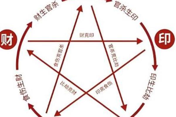 三十六生肖与命运分析：探索你的命格之谜