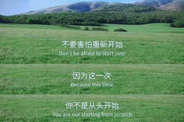 2022年命运之路:在风雨中逆袭的生命智慧与哲学 2022年命运之路:在风雨中逆袭的生命智慧与哲学