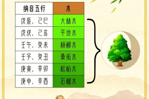 解析五行：金命与木命的奥秘与智慧