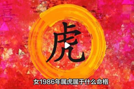 属虎1981年命理解析：如何发挥您的潜能与优势