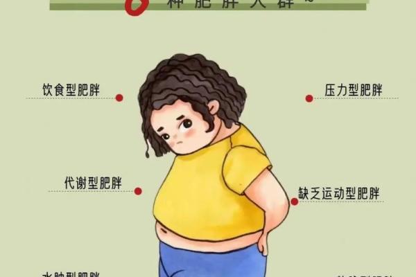 命理分析：哪些人最适合与胖女人携手共度一生？