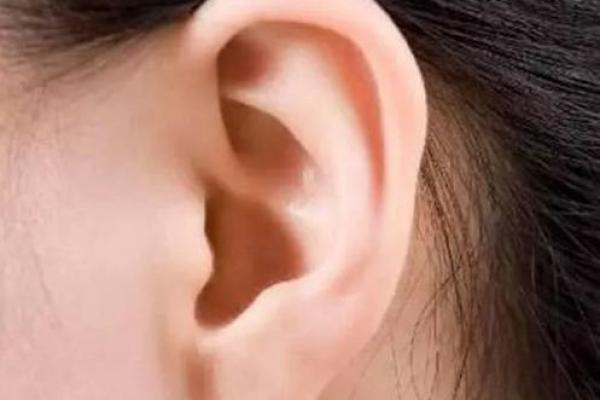 耳轮高命的困惑：揭示它带来的五大不利影响