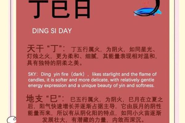 各生肖在巳时出生的命运解析与人生轨迹探秘