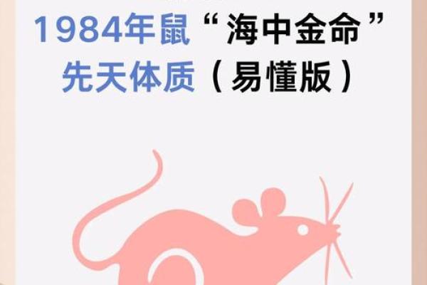 96年属鼠的人生运势与性格特点解析 96年属鼠的人生运势与性格特点解析