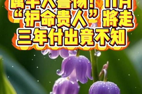 2004木羊命人缺乏什么，如何弥补命理不足之处？