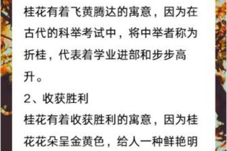 桂花命的深刻意义与文化内涵探讨