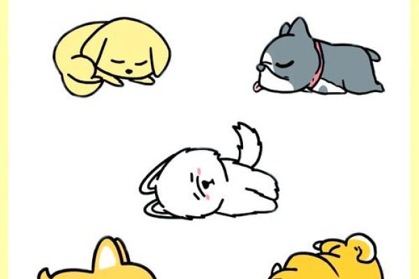 2030年出生的狗狗命运揭秘：你家毛孩子的未来如何？