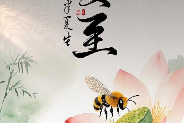 2008年——蝉鸣中的虫音与时光交错的年轮