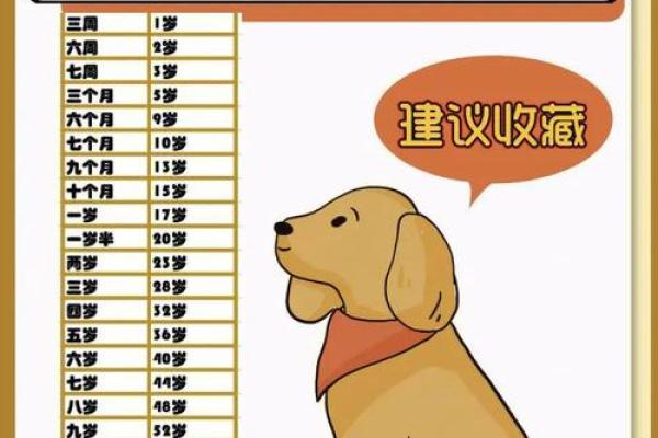 狗年正月出生者命运解析：性格与事业的完美结合