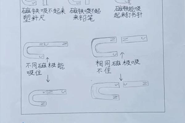探索命的奥秘：让我们走进命的世界，揭示它的秘密与力量