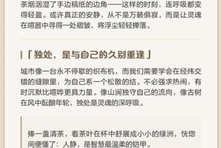 2008年——蝉鸣中的虫音与时光交错的年轮