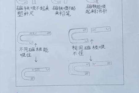 探索命的奥秘：让我们走进命的世界，揭示它的秘密与力量