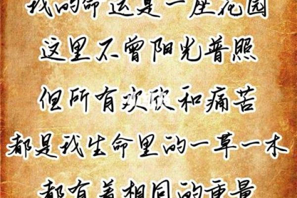 解读1976年出生的命运:一场神秘的生命旅程 解读1976年出生的命运:一场神秘的生命旅程