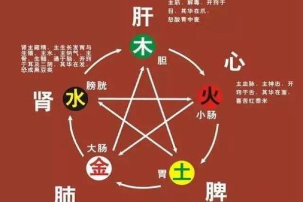 2020年出生的人命理分析：探索命运与性格的奥秘