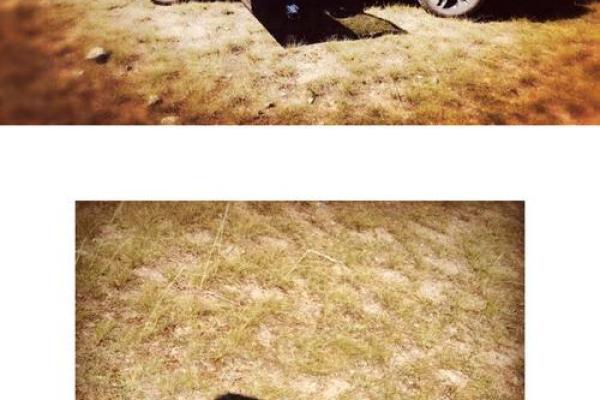 命理学中的软件应用:探寻未来的神秘之旅 命理学中的软件应用:探寻未来的神秘之旅