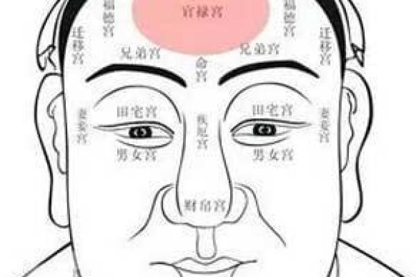 198705出生的人命运解析:命理与性格的奇妙关联 198705出生的人命运解析:命理与性格的奇妙关联