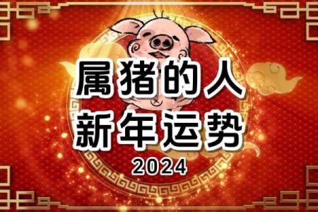 2207年属猪之命运解析：探寻财富与幸福的奥秘