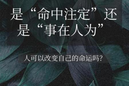 命运之说：每个人的命运究竟如何决定？