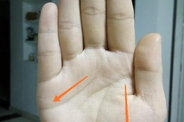 解密手指上的旋窝:它究竟蕴含了怎样的命理秘密? 解密手指上的旋窝:它究竟蕴含了怎样的命理秘密?