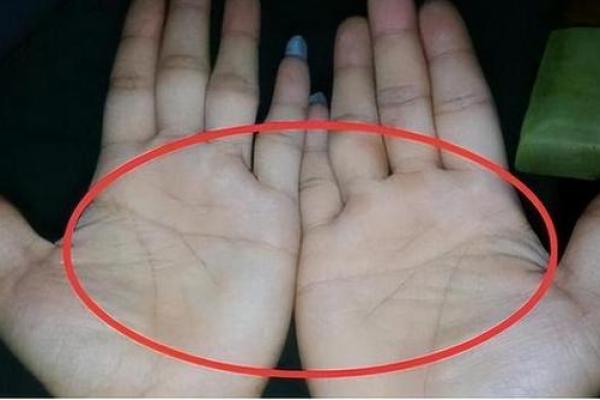 断掌女人的命运研究：她们的个性与神秘力量